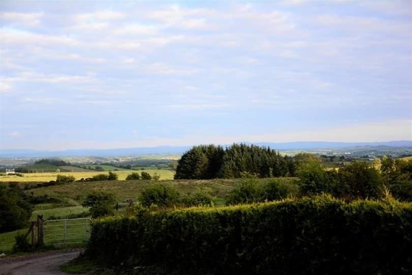 Crockgarve B And B Galbally Exteriér fotografie